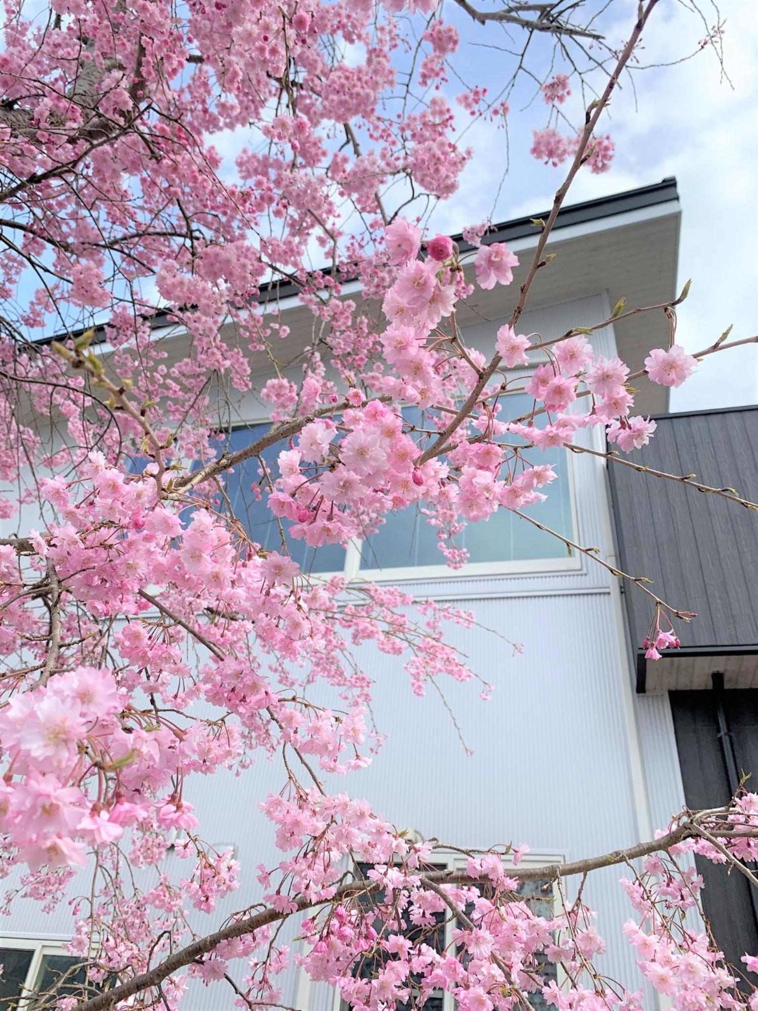 Sweet Villa Takasama - Vacation Stay 11775 Фудзиёсида Экстерьер фото